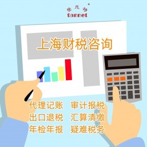 上海財(cái)務(wù)咨詢 財(cái)稅咨詢服務(wù)內(nèi)容有哪些